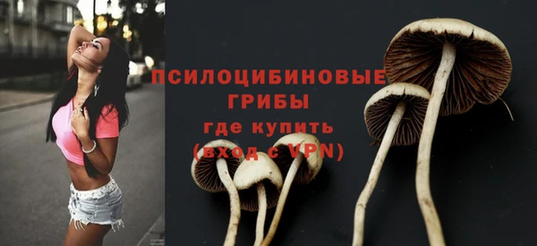 спайс Алексин