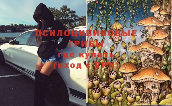 спайс Алексин