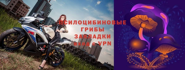 спайс Алексин