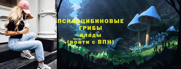 соль ск Алексеевка