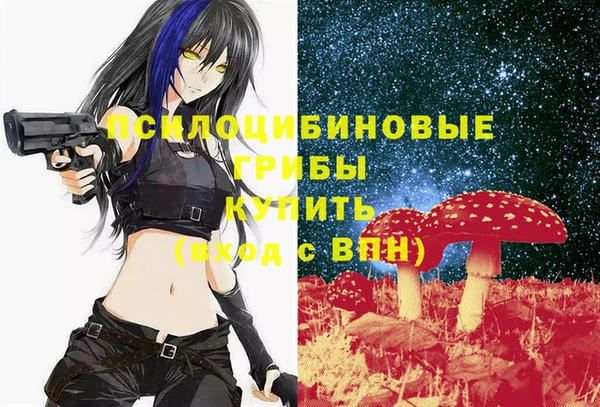 соль ск Алексеевка