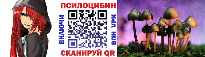 Купить где Рославль Псилоцибиновые грибы Cubensis